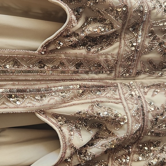 Adrianna Papell Biscotti Formal Gown - Picture 4 of 6